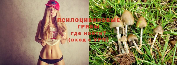 марихуана Переславль-Залесский