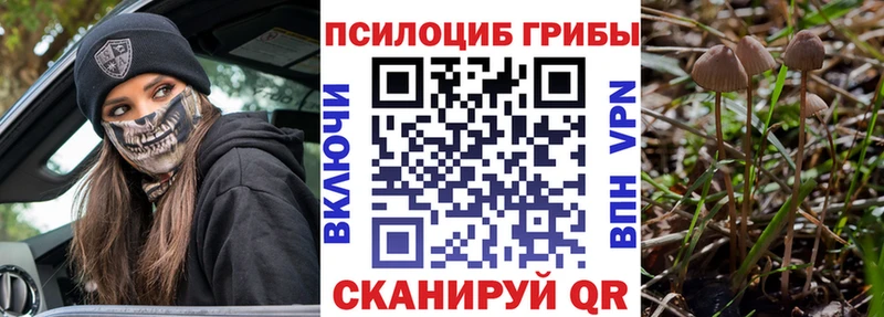 дарнет шоп  блэк спрут маркетплейс  Галлюциногенные грибы мицелий  Холм 